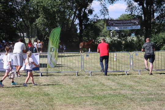 Gm. Ruda-Huta. Powiatowy Dzień Konia Zimnokrwistego [GALERIA ZDJĘĆ]