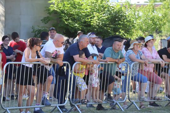 Gm. Ruda-Huta. Powiatowy Dzień Konia Zimnokrwistego [GALERIA ZDJĘĆ]