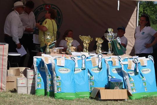 Gm. Ruda-Huta. Powiatowy Dzień Konia Zimnokrwistego [GALERIA ZDJĘĆ]