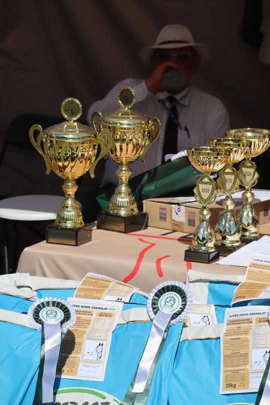 Gm. Ruda-Huta. Powiatowy Dzień Konia Zimnokrwistego [GALERIA ZDJĘĆ]