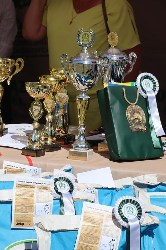 Gm. Ruda-Huta. Powiatowy Dzień Konia Zimnokrwistego [GALERIA ZDJĘĆ]