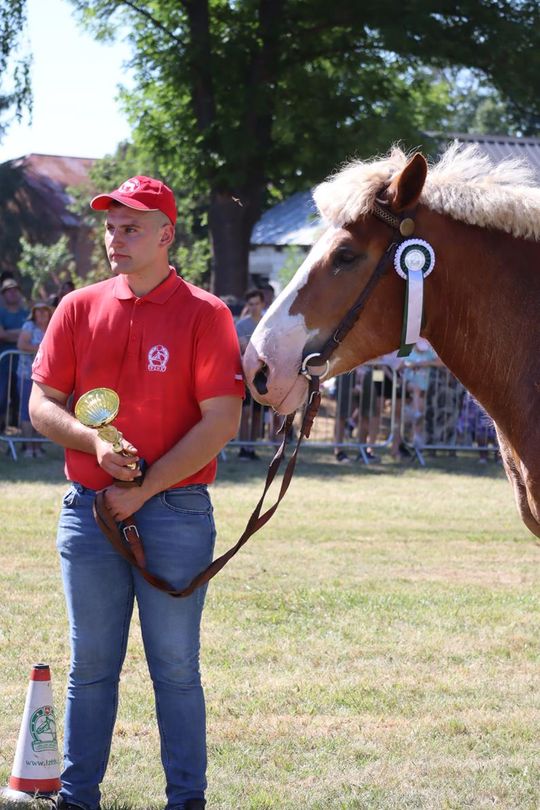 Gm. Ruda-Huta. Powiatowy Dzień Konia Zimnokrwistego [GALERIA ZDJĘĆ]