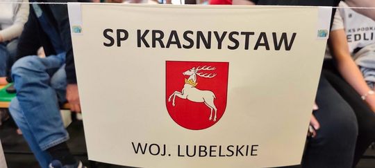 Gm. Krasnystaw. Krajowa czołówka należy do nich. Uczniowie „Trójki” z sukcesami [GALERIA ZDJĘĆ]