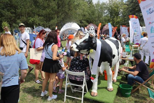Chełm. Piknik Edukacyjny w ramach „Lato z Radiem i Telewizją Polską” w parku miejskim [GALERIA ZDJĘĆ] 