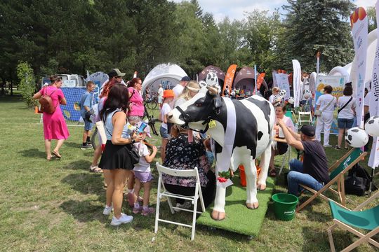 Chełm. Piknik Edukacyjny w ramach „Lato z Radiem i Telewizją Polską” w parku miejskim [GALERIA ZDJĘĆ] 