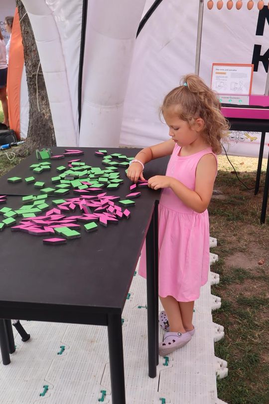 Chełm. Piknik Edukacyjny w ramach „Lato z Radiem i Telewizją Polską” w parku miejskim [GALERIA ZDJĘĆ] 