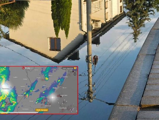 Burza nad powiatem chełmskim. Powalone drzewa, grad i podtopienia [ZDJĘCIA]