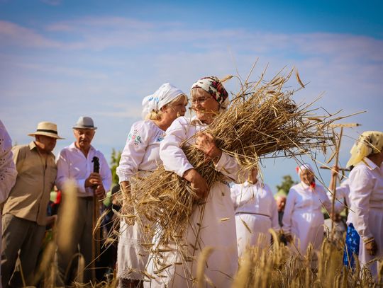 Żniwowanie nad Zalewem Maczuły w Horodysku! Wyjątkowe spotkanie z tradycją [GALERIA ZDJĘĆ]