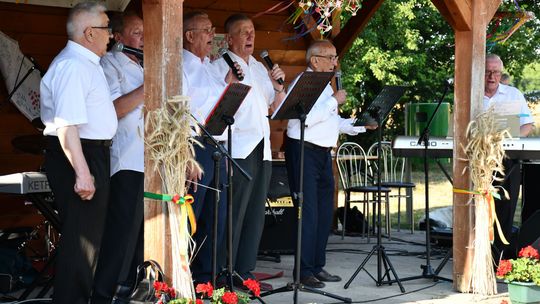 Dawne żniwa na Przedmieściu Góry. Mieszkańcy Krasnegostawu wrócili do tradycji [GALERIA ZDJĘĆ]