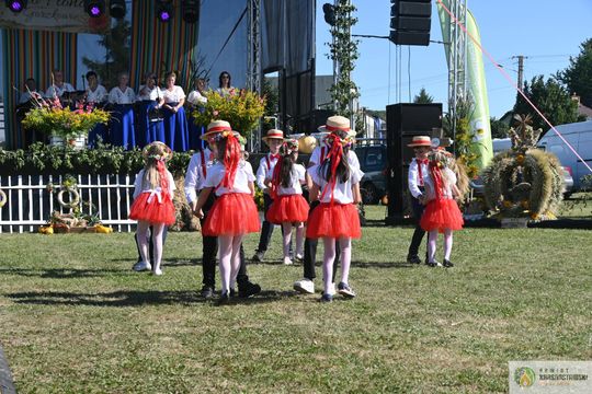 Święto Plonów w Gorzkowie. Mieszkańcy podziękowali za tegoroczne zbiory [GALERIA ZDJĘĆ] 
