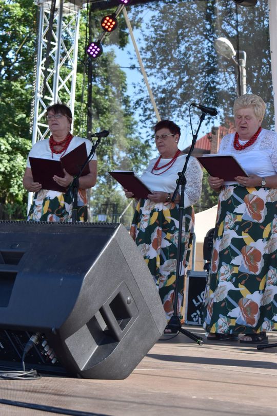 Piknik Wawrzyńca przyciągnął mieszkańców Żółkiewki [GALERIA ZDJĘĆ] 