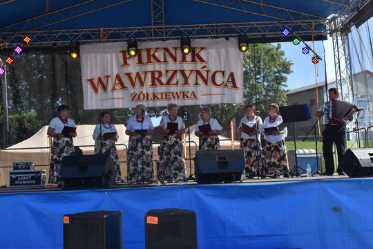 Piknik Wawrzyńca przyciągnął mieszkańców Żółkiewki [GALERIA ZDJĘĆ] 