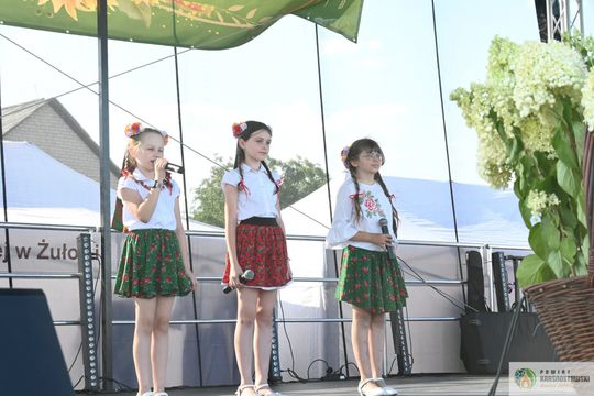 Dożynki Gminne w Kraśniczynie. Podziękowali za tegoroczne plony [GALERIA ZDJĘĆ] 