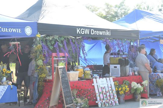 Dożynki Gminne w Kraśniczynie. Podziękowali za tegoroczne plony [GALERIA ZDJĘĆ] 