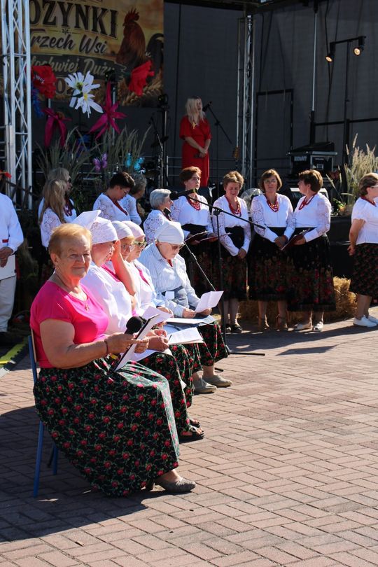 Gm. Krasnystaw. Dożynki Trzech Wsi – wspólne święto mieszkańców [GALERIA ZDJĘĆ] 