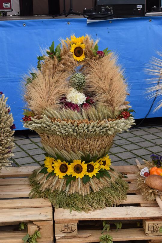 Dożynki w Żółkiewce. Święto plonów i lokalnej tradycji [GALERIA ZDJĘĆ] 