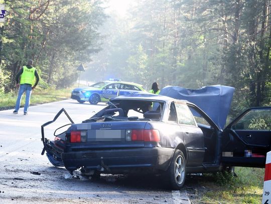 Audi rozbite na drzewie. Śmigłowiec LPR zabrał 20-letniego kierowcę do szpitala [ZDJĘCIA]