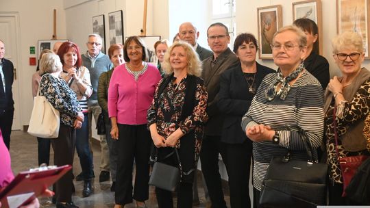 Poezja, sztuka i kabaret. Noc Bibliotek pełna twórczych spotkań [GALERIA ZDJĘĆ]