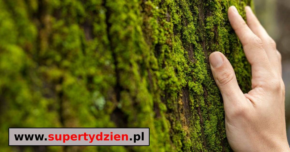 Gm. Sawin. W sprawie Sobiborskiego Parku Narodowego buntują się kolejne środowiska
